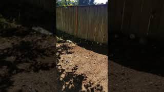 DO NOT RENT FROM INVITATION HOMES