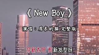 《New Boy》- 房东的猫