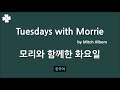 eng. u0026 kor. 모리와 함께한 화요일 낭독 the curriculum 커리큘럼