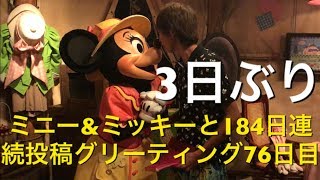 ミニー\u0026ミッキーと184日連続投稿グリーティング76日目〜3日ぶり〜 my Disney tour day 76 I meet minnie mouse \u0026 mickey mouse