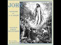 bible dby nt 04 john by darby bible read by hultstrand full audio book