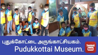 புதுக்கோட்டை அருங்காட்சியகம்।Pudukkottai Museum | A picnic with Fish Fence Team.💥💥💕💕