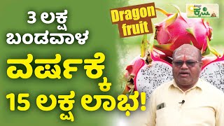 3 ಲಕ್ಷ ಬಂಡವಾಳವರ್ಷಕ್ಕೆ 15 ಲಕ್ಷ ಲಾಭ! | Dragon Fruit Farming | Vijayapura | Vistara Krishi