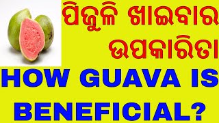 ପିଜୁଳିର ସପୂର୍ଣ ବିବରଣୀ,ODIA ALL ABOUT GUAVA,ODIA HEALTH tipS OF GUAVA,ODIA BENEFITS OF GUAVA,