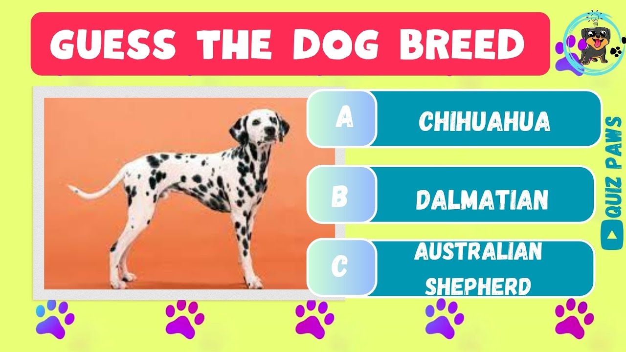 Guess The Dog Breed - Dog Breed Quiz | Dog Lovers Quiz 🐶 🐾 #dogbreed # ...