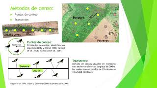 José Alejandro Vergara, Técnicas de monitoreo de biodiversidad en paisajes productivos