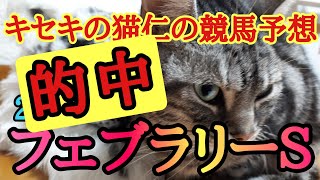 フェブラリーS2022　馬単的中　ワイド的中　キセキの猫仁の競馬予想