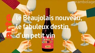 le Beaujolais nouveau, le fabuleux destin d'un petit vin - Karambolage - ARTE
