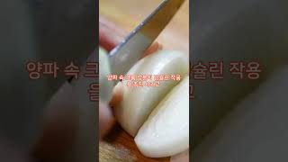 양파가 좋다는 것이 이것 때문이었네!!   #shorts