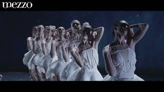 Tchaikovsky : Swan Lake – Angelin Preljocaj – Chaillot, Théâtre national de la Danse