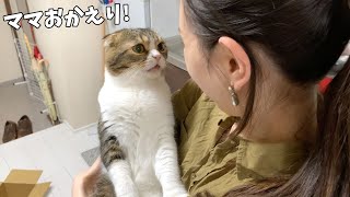 飼い主が仕事から帰ってきて嬉しくて玄関までお出迎えしちゃう親子猫