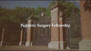 Brown Pediatric Surgery Fellowship 2025