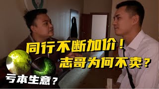 同行看上賓館搶手貨！不斷加價志哥為何不賣？志哥：讓子彈飛一會！ 翡翠原石 緬甸翡翠賭石 翡翠玉石直播 翡翠a貨代購 翡翠手鐲定制