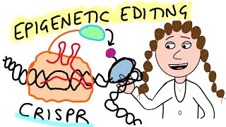 Can we edit the epigenome?