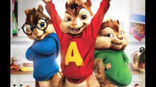 Auburn Perfect Two Chipmunk