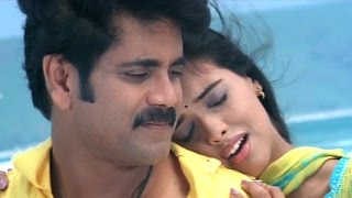 Shivamani Telugu Movie || Yenaatiki Video Songs || Nagarjuna, Asin