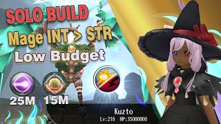 Build Mage INT STR Level 290  Low Budget High Damage- Toram Online