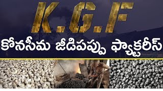 జీడిపప్పు తయారీ | Konaseema Jeedipappu Factory | Mori Cashew Factory | Telugu Ruchulu | Aadhan Food