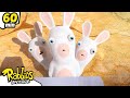 What did the Rabbids discover? | RABBIDS INVASION | 1H New compilation | Cartoon for kids