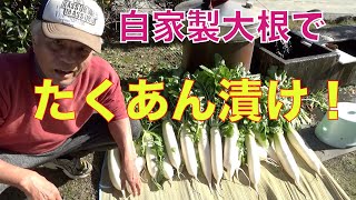 【#085】素人の自家製大根で「たくあん漬け」！