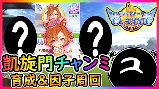 【ウマ娘】RE:凱旋門チャンミに向けて育成＆因子周回！メンバー見直しや！【ユキナガウマ娘育成攻略:ゆっくり音声】