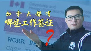 加拿大工作签证 | 加拿大都有哪些工作签证？【#talltalk涛声 #加拿大移民说 20190209】