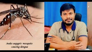 Dengue fever | Dengue infection | Dengue treatment #dengue #fever #video #denguefever #india #health