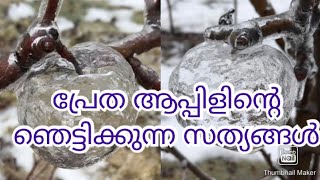 GHOST APPLE മലയാളത്തിൽ ആദ്യമായി ഇതാ ഒരു അടിപൊളി വീഡിയോ