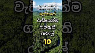 ලොව වැඩියෙන්ම ගස් තිබෙන රටවල් 10 😲