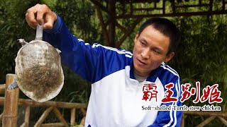 Soft-shelled Turtle stew chicken|霸王別姬，一隻甲魚一隻雞，放砂鍋中小火慢燉4小時，兩小伙把鍋吃到底朝天【尋味小食候】