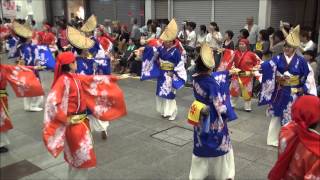 2013年･十人十彩　第15回よさこい全国大会（帯屋町）