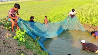 Amazing net fishing video - Best traditional net fishing video by village people (Part-14)