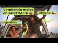 THEY EMIGRATED TO AUSTRALIA 👉 and THIS is what happened 🚐 VAN TOUR Toyota Hiace 🌎 [El Spot del Mate]