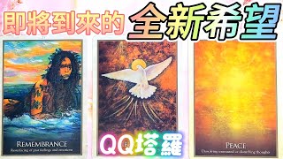 #QQ塔羅【巨蟹座新月】即將到來的全新希望！什麼方面即將迎來突破？事業/財運/健康/學業/感情/人際關係/婚姻家庭/貴人機遇 運勢 預測 占卜