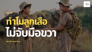 History's Miracle | EP.76 | ทำไมลูกเสือไม่จับมือขวา?