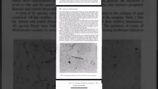 Module 4: Second Case Study
