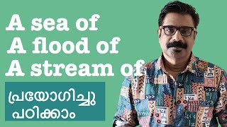 Spoken English Phrases in Malayalam  | ഇംഗ്ലിഷിൽ പറയാം,  'ജനസാഗരം ഒഴുകിയെത്തി'