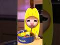 Banana Cat and Deception in a Cookie Box 🫨🍪  | Whiny Situation 5.0 😿 #bananacat #happy #cookies