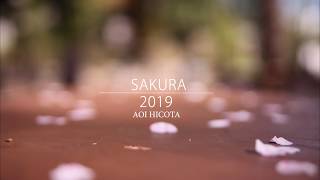 SAKURA2019