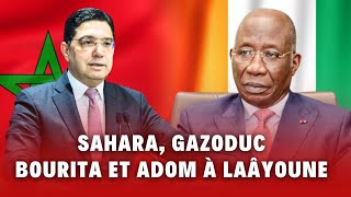 Sahara, Gazoduc, coopération : quels enjeux stratégiques unissent le Maroc et la Côte d'Ivoire ?