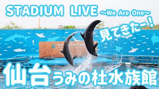 【イルカショー】仙台うみの杜水族館 STADIUM LIVE 見てきたー🐬Dolphin Show🐬 【アシカショー】【バードショー】