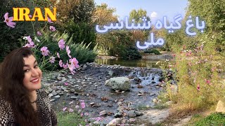 Walking tour in 🌻🍂National Botanical Garden of Iran٫Tehran city 2024