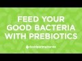 Feed Your Gut Bacteria With Prebiotics