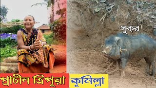 প্রাচীন ত্রিপুরার ক্ষুদ্র জনগোষ্ঠী এখনও বসবাস করে কুমিল্লার পাহাড়ে #ক্ষুদ্র_ত্রিপুরা #cumilla