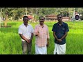 പാടത്തു വിരിയുന്ന ക്രിസ്തു രൂപം krishi paddy farmtour farmtourism keralafarm keralafarming