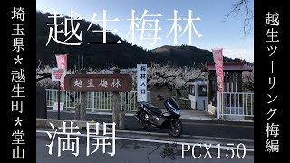 【PCX】#2 関東三大梅林の一つ越生梅林へ早朝ツーリング！！【越生梅林】