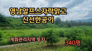 [매물번호215] 밀양시 산내면 영남알프스자락 #밀양부동산매매 #밀양토지 #밀양땅매매 #밀양땅 #밀양산내면 #산내면 #밀양전원주택지 #밀양전원주택