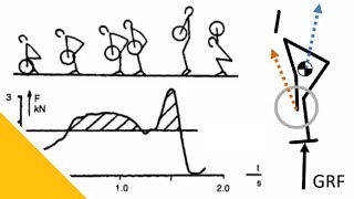 Weightlifting Biomechanics: Selected Thoughts | Dr Kristof Kipp