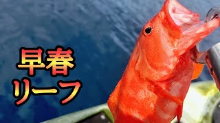 【カヤックフィッシング】蛙スプーンとオモックでライトゲーム【沖縄釣り】