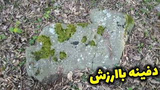 پیدا کردن گنج خرگوش جنگلی